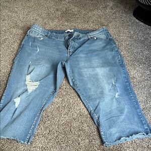 Lane Bryant Classic Blue Denim